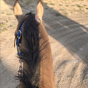 Meet your Posher, Trinity